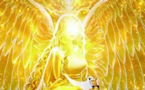 巴法罗拉（六）