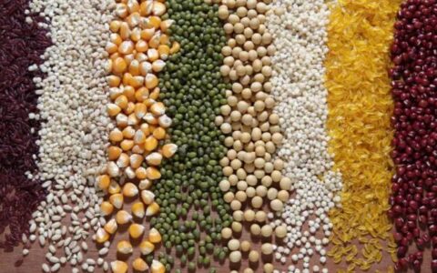 大米和面粉防止的储存方法 - 小牛评论