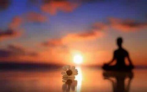 追寻生命的源头