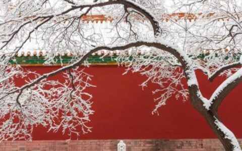 假如我能与历史对话