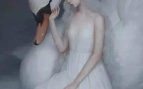 宝贝禾诗选之朝花夕拾-小牛评论