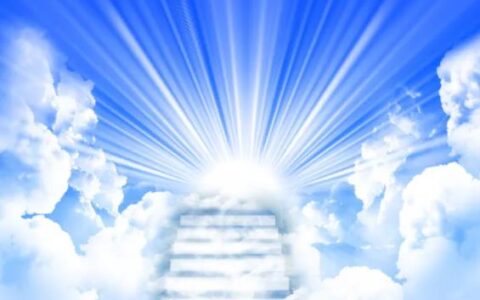 墨茶的心愿（下）