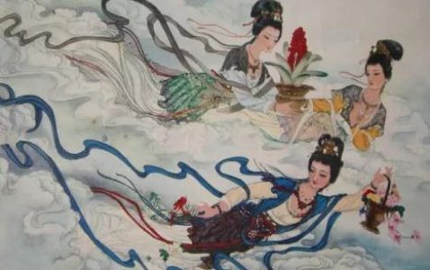关于地球球花-小牛评论