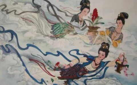 关于地球球花
