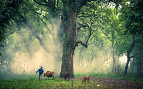 关于干活的小事