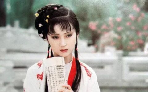 与林黛玉对话