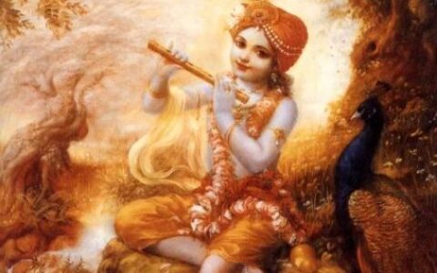 心画·终极舞曲