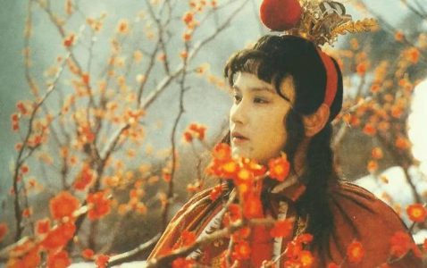 贾宝玉和杨贵妃中的女性之美-小牛评论