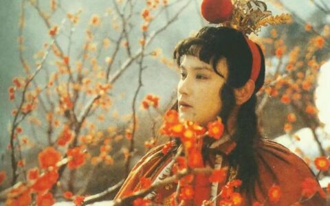 贾宝玉和杨贵妃中的女性之美