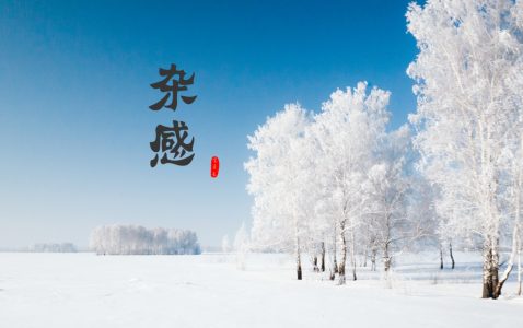 宝贝禾·杂感-小牛评论
