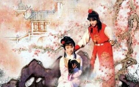 宝贝禾·趣评红楼