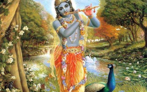 心画人生·心愿