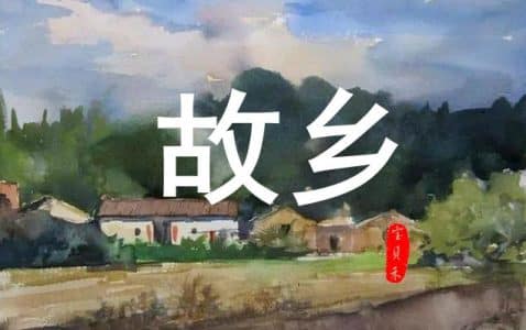 故乡·家人·小姨家-小牛评论