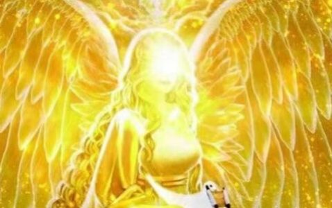 巴法罗拉（六）-小牛评论