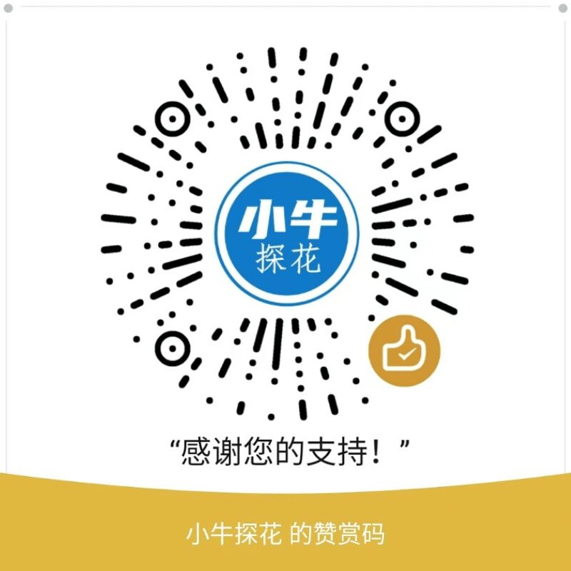 微信扫一扫