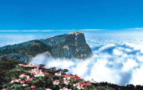 一个“病秧子”在峨眉山遇到的旷世奇缘