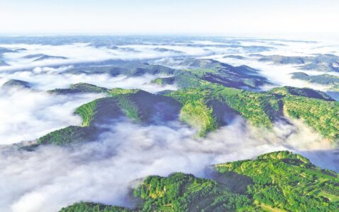 八世尘渡·古佛归山