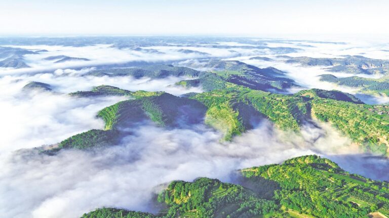 八世尘渡·古佛归山